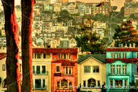 San Franciscan Life 1