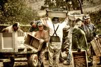 Harvest Time_sep