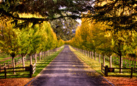 Far Niente Entrance
