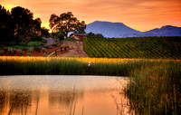 Reservoir Dusk