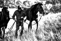 Modern Cowboy