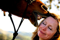 Horsey Bliss