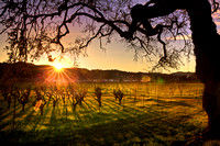 Golden Winter Sunset
