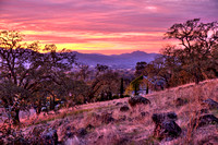 Signorello Sunset 2