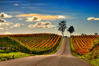 Road To Happiness