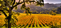 Hidden Valley 8_pan