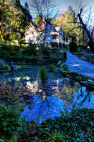 Schramsberg Pond Winter_vert