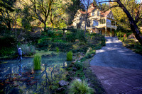 Schramsberg Pond Winter