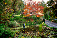 Schramsberg Pond Fall