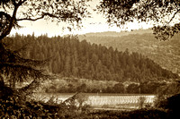 Napa Valley Window_sepia
