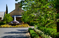Franciscan Winery Summer 4