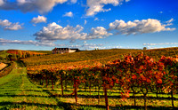 Domain Carneros