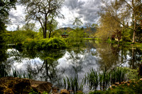 Tranquil Chateau Montelena