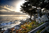 Windy Cypress Bluff