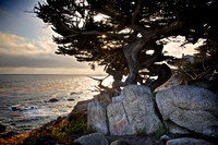 Windy Cypress Bluff 2