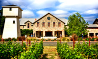 Silver Oak Summer 3