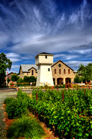 Silver Oak Summer 2