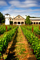 Silver Oak Summer 5