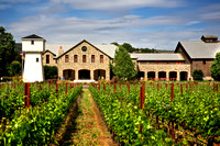 Silver Oak Summer 4