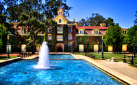 Sunny Inglenook Winery