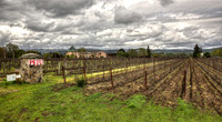 Peju Dramatic Spring