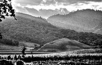 Tranquility b&w