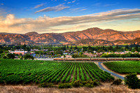 Yountville Summer