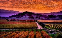 Fall Sunset