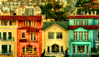 San Franciscan Life 2