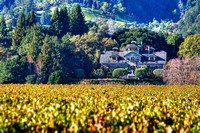 Far Niente Winery