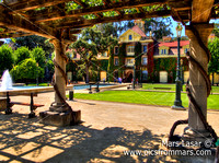 Sunny Inglenook Winery 1