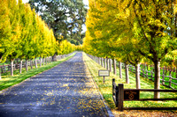 Far Niente Entrance 2