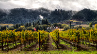Far Niente Fall Storm