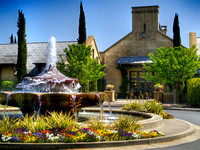 Franciscan Winery Summer 6