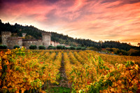Castello Di Amorosa Fall