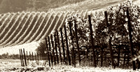 Fall In The Valley_pan_sepia