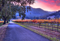 Vineyard View Driveway