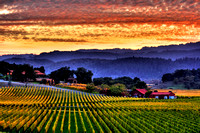 Wine Country