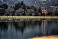 Far Niente Reflections