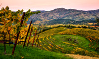 Chandon Sacred Circle