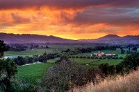 Napa Valley Summer Sunset