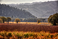 Deep Fall Vista