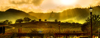Chandon Gold