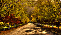 Inglenook Winery Entrance