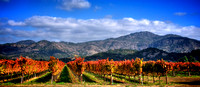 A Trio Fall_pan