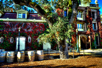 Inglenook Sunny Fall