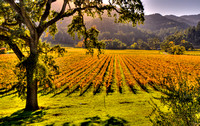 Fall Hidden Valley