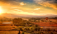 Napa Valley Fall Sunrise