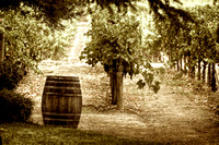One Andretti Barrel
