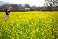Mustard Flower Happiness
